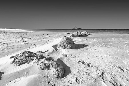 地中海以色列岸的一个小岛景象沙吹过海滩丘在以色列的风中吹过海滩沙丘黑白照片图片