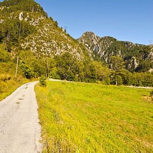法国东南部阿尔卑斯德豪特普罗旺斯省森林之间的山区公路图片