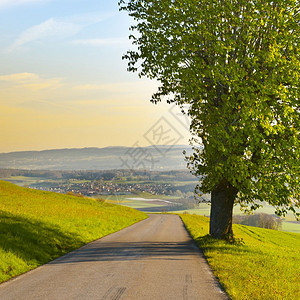 日出时瑞士牧场之间的斜坡道路在日出时瑞士的牧场之间行走图片