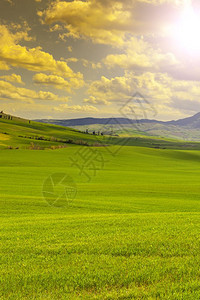 意大利地貌与草原在春初日出意大利的农业山上田地牧场和农舍图片