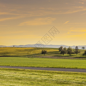 日出时瑞士牧场之间直的沥青路图片