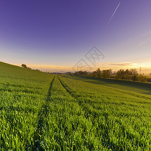 在日落时瑞士阿尔卑斯山的背景上涂抹Swiis地貌与灌溉运河沿线的草原相伴在绿上跟踪拖拉机图片