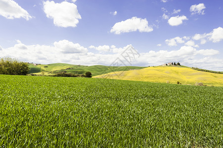 春初意大利的地貌和草原意大利的农业山上田地牧场和农舍图片
