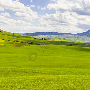 春初意大利有草原的地貌意大利农业山上田地牧场和农舍图片
