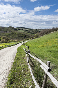 意大利的农业田地和牧场图片