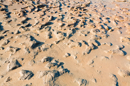 约旦死海泥沙滩图片