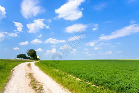 法国卢塞伦油田一带的泥土路图片