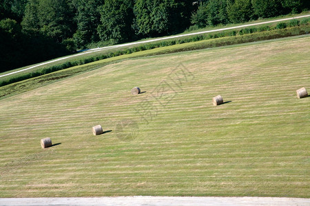干草和城堡坪上的干图片