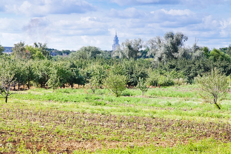 果园风景图片图片