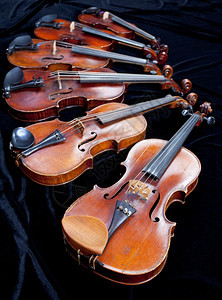 黑天鹅绒上不同大小的提琴家族紧图片