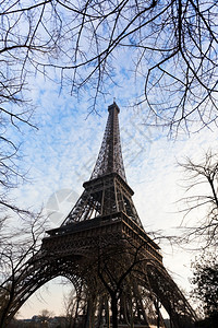 春晚在巴黎的艾菲尔塔和树枝图片