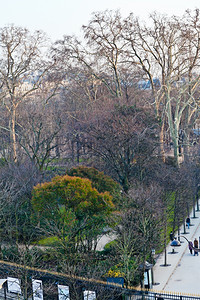 初春巴黎卢森堡花园背景图片
