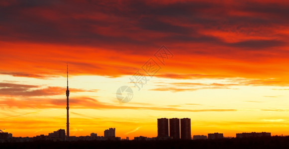 清晨的天际线城市房屋上天亮上背景图片