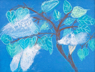 儿童绘画春天有白花的树枝图片