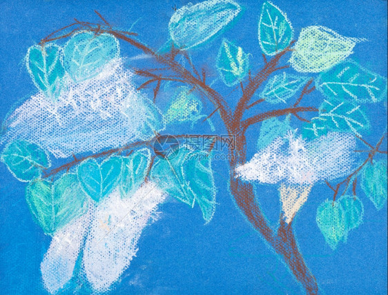 儿童绘画春天有白花的树枝图片