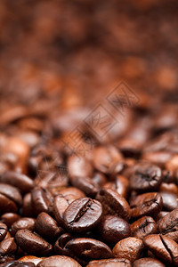 红烤咖啡豆背景有重点图片