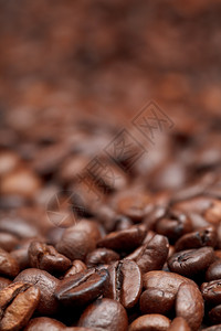 焦地浅咖啡豆背景图片