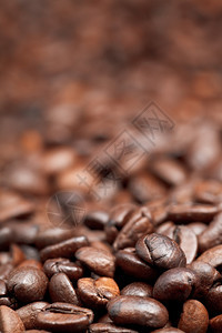 堆肥的烤咖啡豆背景有重点图片