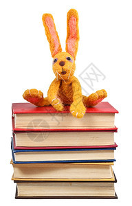 感觉柔软的玩具兔子坐在旧书上孤立白色背景图片