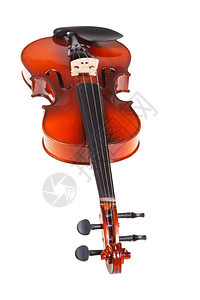 从白色背景上孤立的古典小提琴指板视图图片