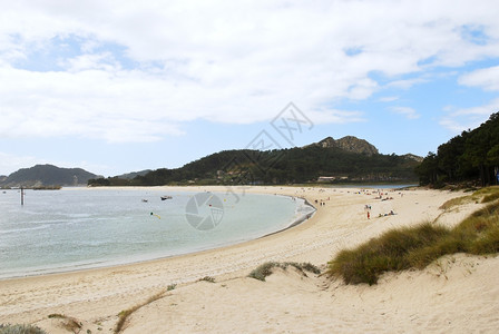 Cies群岛上的沙滩海螺西班牙大洋加利亚公园背景图片