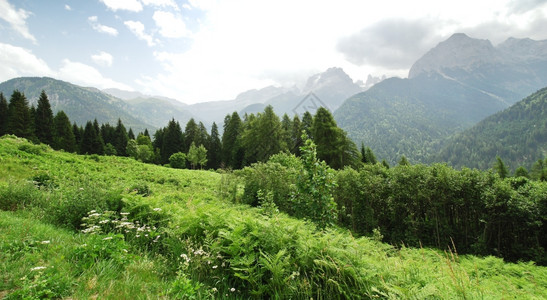 意大利多洛米山脉的绿草地背景