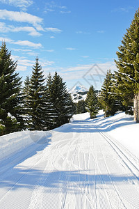 法国摩尔津阿沃里亚兹的太阳港地区山雪林滑场图片