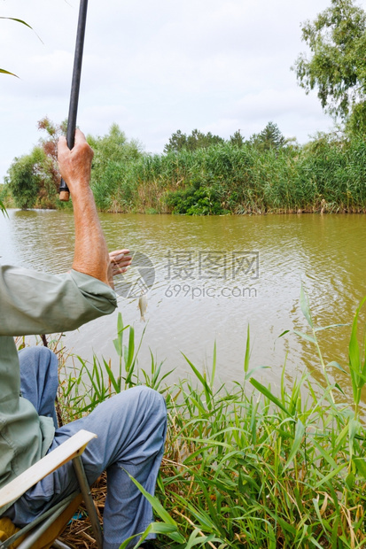 渔民从俄罗斯库班河KubanRiver捕出小轮渡鱼图片