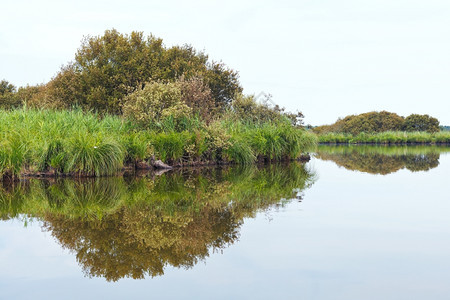 法国布赖尔地区自然公园布赖尔沼泽地夏季日图片