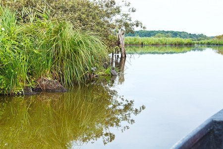 在法国布赖尔区域自然公园布赖尔沼泽号上船图片