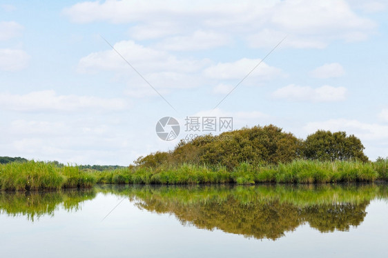 法国布赖尔地区自然公园布赖尔沼泽的夏日风景图片