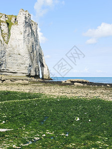 Eretratcotedrsquo低潮时英吉利海峡海滩上带拱门的悬崖法国阿尔巴特图片