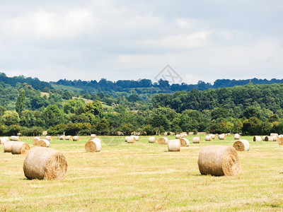 在法国诺曼底收获的田地上有许多干草堆图片