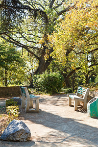 秋天在克里米亚南海岸斯科尔公园的花长椅图片
