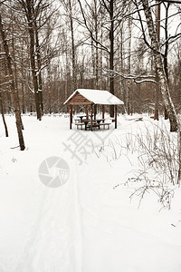 冬季在城市公园的雪覆盖了木棚图片