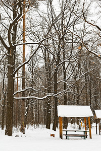冬天在城市公园的雪覆盖了木棚图片