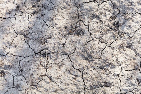 春初园中干燥的地表背景图片