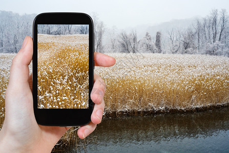 旅行概念游客在美国智能手机上拍摄严寒哈德逊河岸和冬季冷冻树木的照片图片
