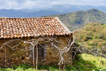 春西里山的旧被遗弃乡村住房图片