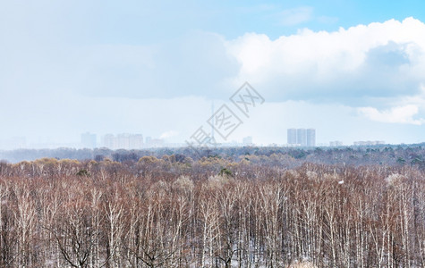 春日城市公园的雪天气图片