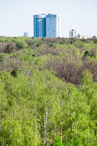 春季现代公寓房和绿林图片