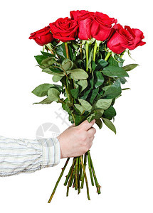 雄手给许多红玫瑰的花束将白色背景的红玫瑰隔开图片