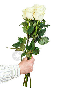 雄手用五朵白玫瑰的花束隔在白色背景上图片