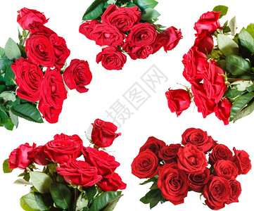 白色背景上隔离的红玫瑰花束集背景图片