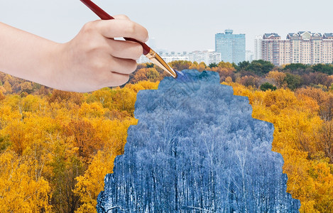 自然概念季节和天气变化季节和天气变化手用油漆刷黄秋林的蓝冬图片
