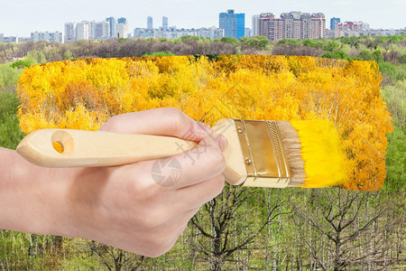 自然概念季节和天气变化手用油漆刷画黄秋叶树上绿色夏季叶图片