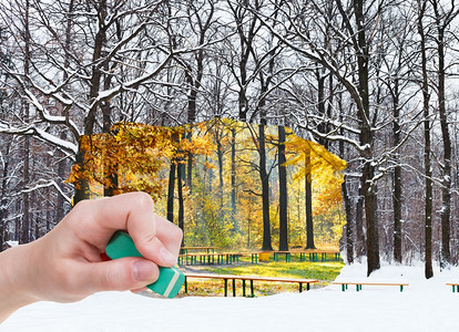 自然概念季节和天气变化手用抹布去秋天和冬季森林图片