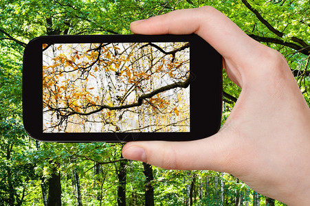 自然质概念智能手机夏季和秋变化的旅游照片图片