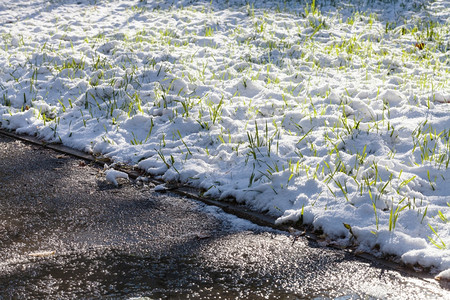 秋天在城市公园绿草地上第一次下雪高清图片