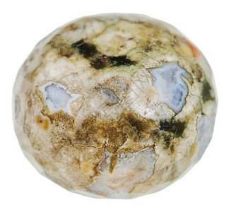 天然矿物石的大型来自绿色马达加斯Rhyolite的珠OceanJasperSeaJasperOberbearJessper白底孤图片